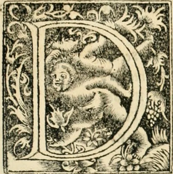 An illustration from Georgii Agricolae De re metallica libri XII. qvibus officia, instrumenta, machinae, ac omnia deni ad metallicam spectantia, non modo luculentissimè describuntur, sed & per effigies, suis locis insertas, adiunctis latinis, germanicis appellationibus ita ob oculos ponuntur, ut clarius tradi non possint. Eivsdem De animantibvs svbterraneis liber, ab autore recognitus: cum indicibus diuersis, quicqiuid in opere tractatum est, pulchré demonstrantibus, 1556, leaf 412