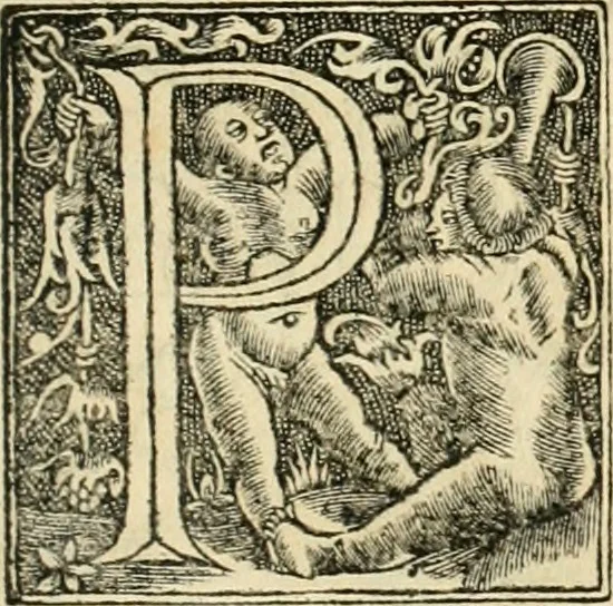 An illustration from Georgii Agricolae De re metallica libri XII. qvibus officia, instrumenta, machinae, ac omnia deni ad metallicam spectantia, non modo luculentissimè describuntur, sed & per effigies, suis locis insertas, adiunctis latinis, germanicis appellationibus ita ob oculos ponuntur, ut clarius tradi non possint. Eivsdem De animantibvs svbterraneis liber, ab autore recognitus: cum indicibus diuersis, quicqiuid in opere tractatum est, pulchré demonstrantibus, 1556, leaf 44