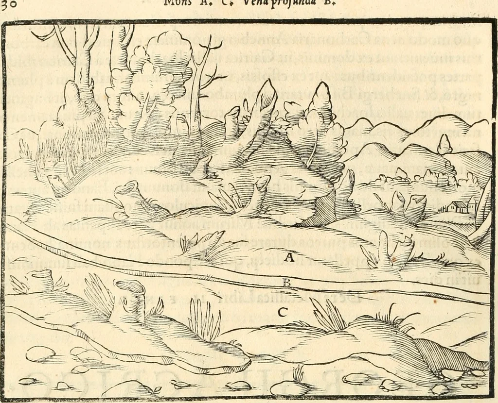 An illustration from Georgii Agricolae De re metallica libri XII. qvibus officia, instrumenta, machinae, ac omnia deni ad metallicam spectantia, non modo luculentissimè describuntur, sed & per effigies, suis locis insertas, adiunctis latinis, germanicis appellationibus ita ob oculos ponuntur, ut clarius tradi non possint. Eivsdem De animantibvs svbterraneis liber, ab autore recognitus: cum indicibus diuersis, quicqiuid in opere tractatum est, pulchré demonstrantibus, 1556, leaf 45