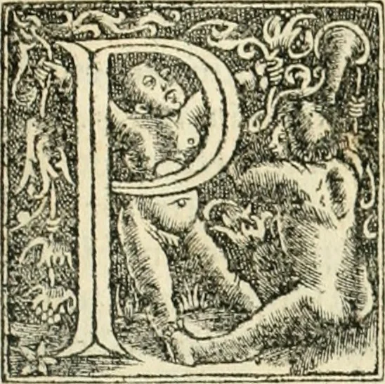 An illustration from Georgii Agricolae De re metallica libri XII. qvibus officia, instrumenta, machinae, ac omnia deni ad metallicam spectantia, non modo luculentissimè describuntur, sed & per effigies, suis locis insertas, adiunctis latinis, germanicis appellationibus ita ob oculos ponuntur, ut clarius tradi non possint. Eivsdem De animantibvs svbterraneis liber, ab autore recognitus: cum indicibus diuersis, quicqiuid in opere tractatum est, pulchré demonstrantibus, 1556, leaf 458