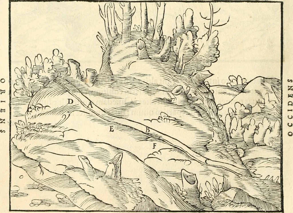 An illustration from Georgii Agricolae De re metallica libri XII. qvibus officia, instrumenta, machinae, ac omnia deni ad metallicam spectantia, non modo luculentissimè describuntur, sed & per effigies, suis locis insertas, adiunctis latinis, germanicis appellationibus ita ob oculos ponuntur, ut clarius tradi non possint. Eivsdem De animantibvs svbterraneis liber, ab autore recognitus: cum indicibus diuersis, quicqiuid in opere tractatum est, pulchré demonstrantibus, 1556, leaf 49