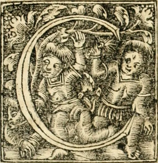 An illustration from Georgii Agricolae De re metallica libri XII. qvibus officia, instrumenta, machinae, ac omnia deni ad metallicam spectantia, non modo luculentissimè describuntur, sed & per effigies, suis locis insertas, adiunctis latinis, germanicis appellationibus ita ob oculos ponuntur, ut clarius tradi non possint. Eivsdem De animantibvs svbterraneis liber, ab autore recognitus: cum indicibus diuersis, quicqiuid in opere tractatum est, pulchré demonstrantibus, 1556, leaf 498