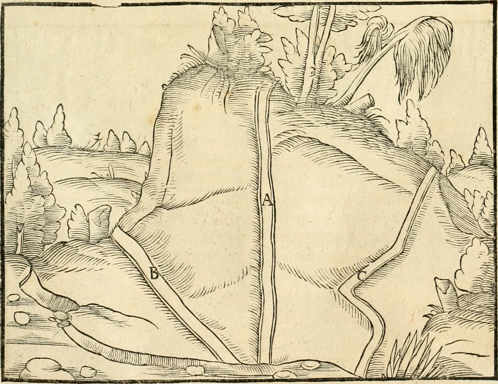 An illustration from Georgii Agricolae De re metallica libri XII. qvibus officia, instrumenta, machinae, ac omnia deni ad metallicam spectantia, non modo luculentissimè describuntur, sed & per effigies, suis locis insertas, adiunctis latinis, germanicis appellationibus ita ob oculos ponuntur, ut clarius tradi non possint. Eivsdem De animantibvs svbterraneis liber, ab autore recognitus: cum indicibus diuersis, quicqiuid in opere tractatum est, pulchré demonstrantibus, 1556, leaf 56