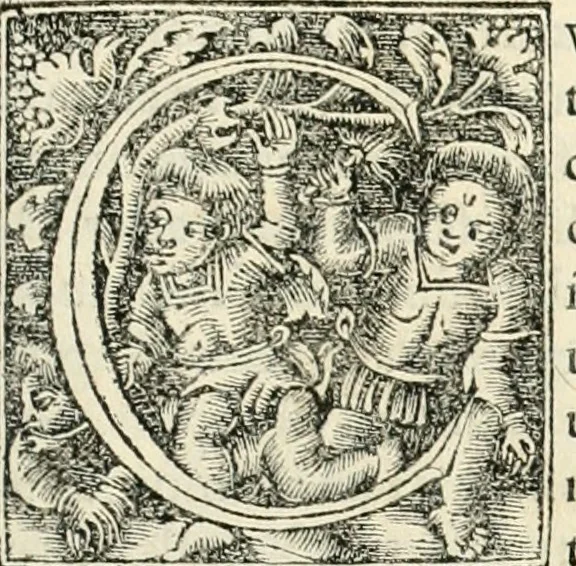 An illustration from Georgii Agricolae De re metallica libri XII. qvibus officia, instrumenta, machinae, ac omnia deni ad metallicam spectantia, non modo luculentissimè describuntur, sed & per effigies, suis locis insertas, adiunctis latinis, germanicis appellationibus ita ob oculos ponuntur, ut clarius tradi non possint. Eivsdem De animantibvs svbterraneis liber, ab autore recognitus: cum indicibus diuersis, quicqiuid in opere tractatum est, pulchré demonstrantibus, 1556, leaf 6