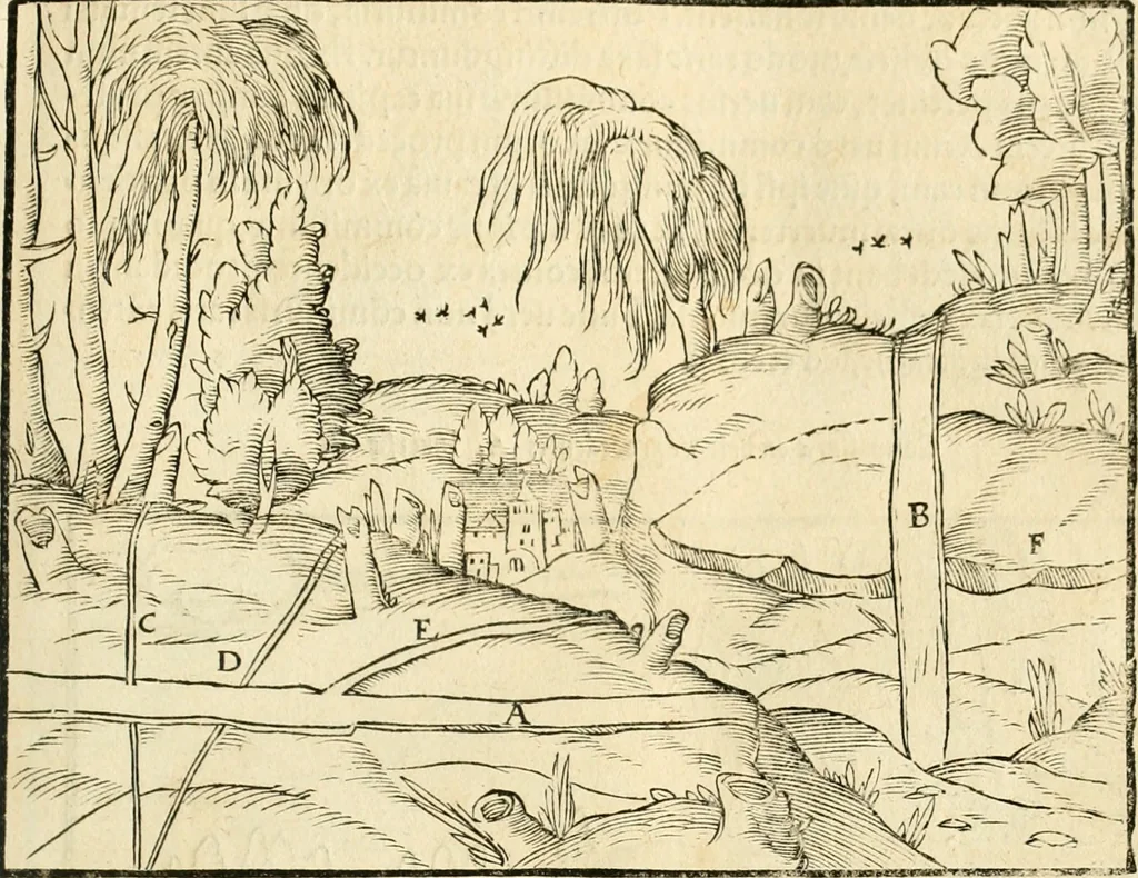 An illustration from Georgii Agricolae De re metallica libri XII. qvibus officia, instrumenta, machinae, ac omnia deni ad metallicam spectantia, non modo luculentissimè describuntur, sed & per effigies, suis locis insertas, adiunctis latinis, germanicis appellationibus ita ob oculos ponuntur, ut clarius tradi non possint. Eivsdem De animantibvs svbterraneis liber, ab autore recognitus: cum indicibus diuersis, quicqiuid in opere tractatum est, pulchré demonstrantibus, 1556, leaf 66