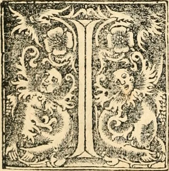An illustration from Georgii Agricolae De re metallica libri XII. qvibus officia, instrumenta, machinae, ac omnia deni ad metallicam spectantia, non modo luculentissimè describuntur, sed & per effigies, suis locis insertas, adiunctis latinis, germanicis appellationibus ita ob oculos ponuntur, ut clarius tradi non possint. Eivsdem De animantibvs svbterraneis liber, ab autore recognitus: cum indicibus diuersis, quicqiuid in opere tractatum est, pulchré demonstrantibus, 1556, leaf 85