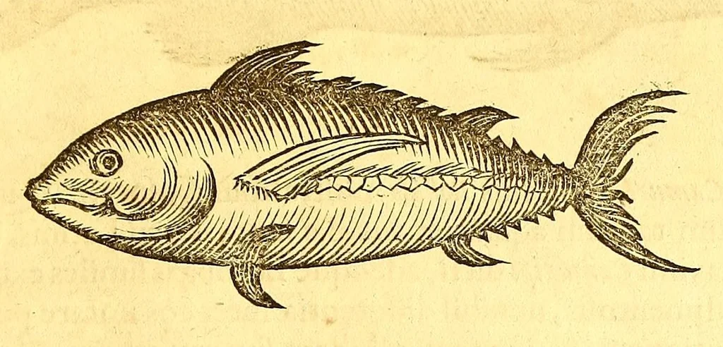 An illustration from Georgii Marcgravii de Liebstad, Tractatus topographicus & meteorologicus Brasiliæ, : cum eclipsi solari; : quibus additi sunt illius & aliorum commentarii de Brasiliensium & Chilensium indole & lingua, 1658, leaf 101