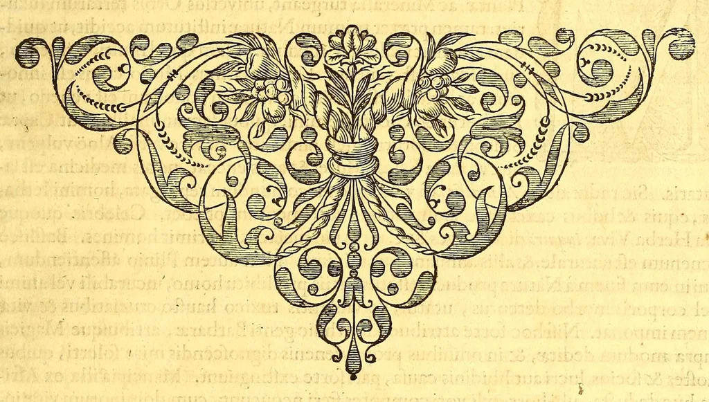 An illustration from Georgii Marcgravii de Liebstad, Tractatus topographicus & meteorologicus Brasiliæ, : cum eclipsi solari; : quibus additi sunt illius & aliorum commentarii de Brasiliensium & Chilensium indole & lingua, 1658, leaf 299