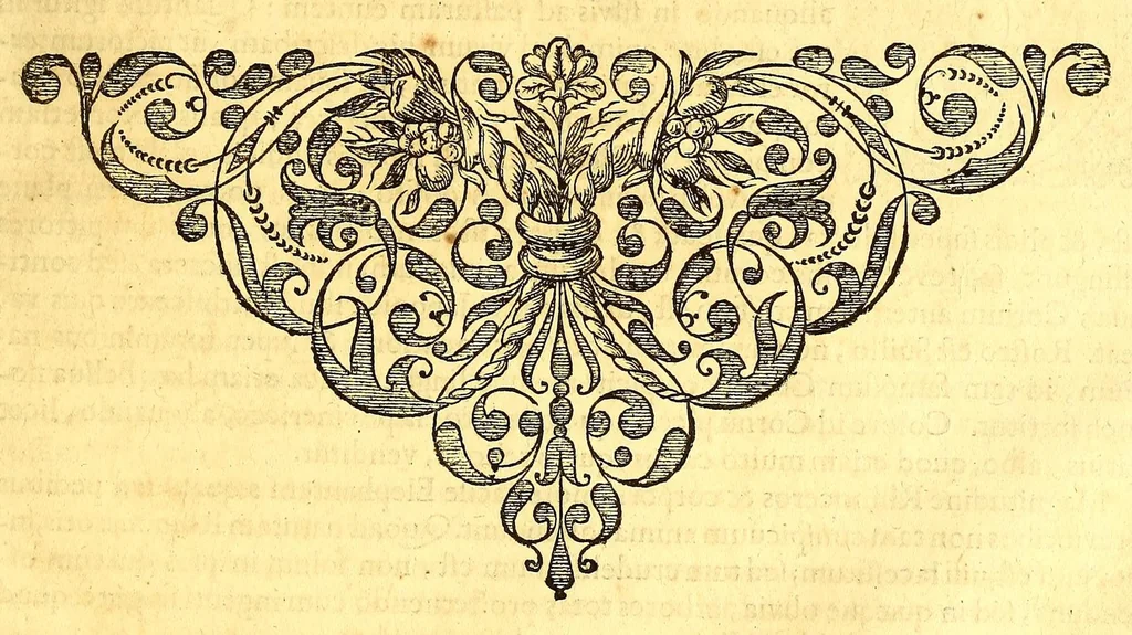 An illustration from Georgii Marcgravii de Liebstad, Tractatus topographicus & meteorologicus Brasiliæ, : cum eclipsi solari; : quibus additi sunt illius & aliorum commentarii de Brasiliensium & Chilensium indole & lingua, 1658, leaf 455
