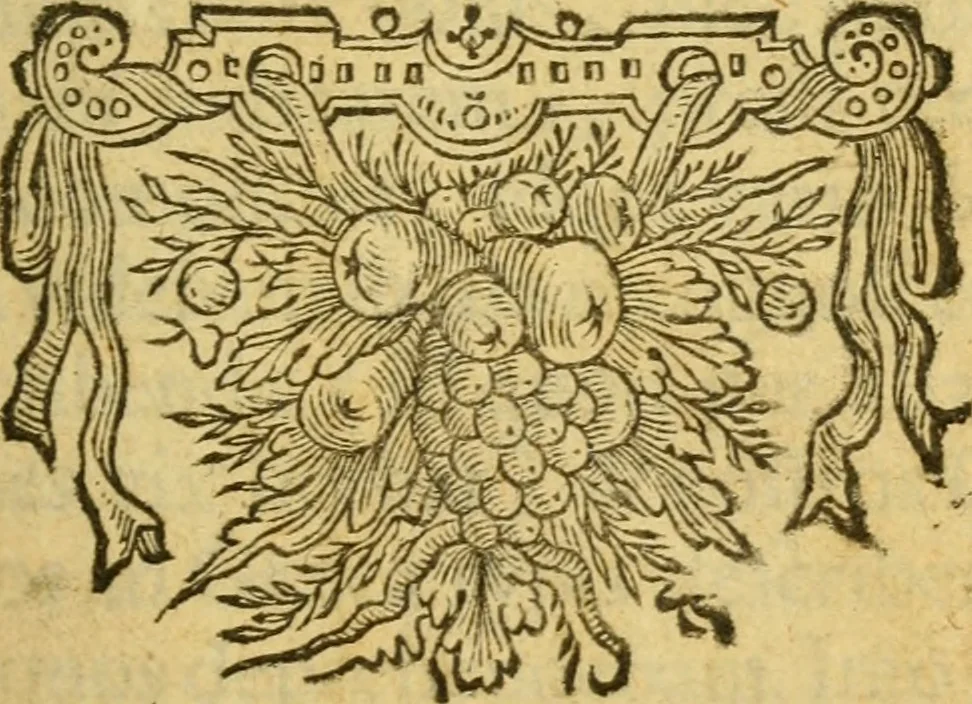 An illustration from Georgii Pasoris ... Grammatica Græca sacra Novi Testamenti ... in tres libros tributa .., 1655, leaf 4