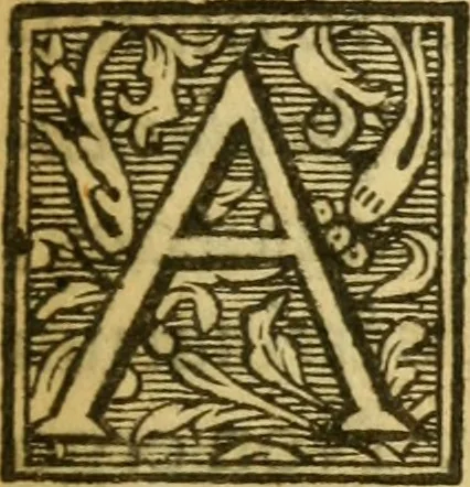 An illustration from Georgii Pasoris ... Grammatica Græca sacra Novi Testamenti ... in tres libros tributa .., 1655, leaf 6