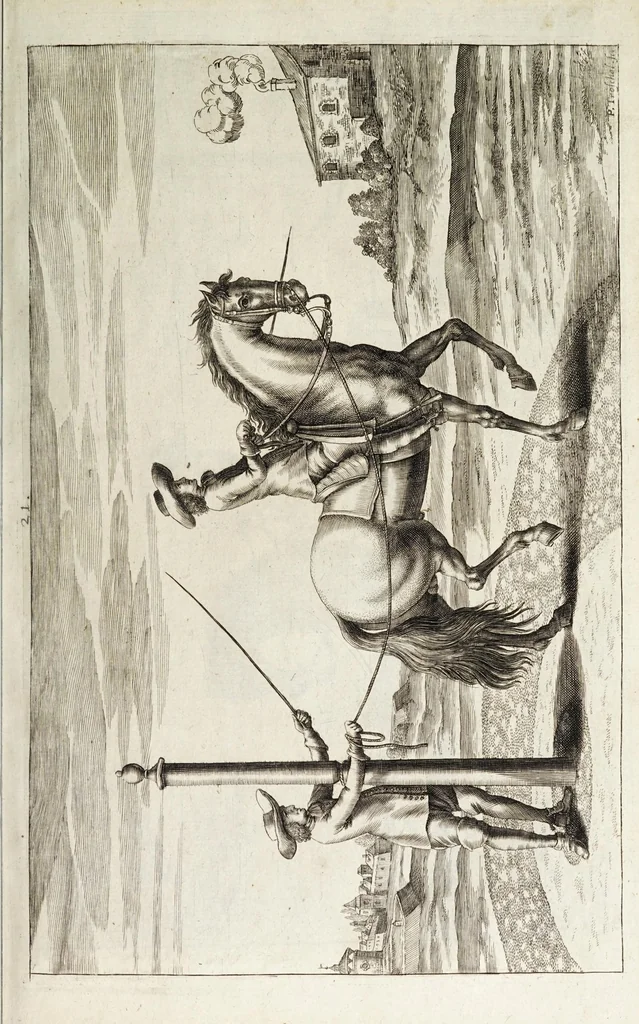 An illustration from Georgii Simonis Winteri, Bellerophon, sive, Eques peritus : hoc est, artis equestris accuratissima institutio : opere bipartito, seu duobus libris, absoluta .., 1678, leaf 129