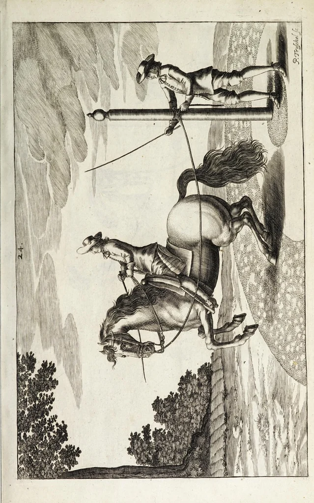 An illustration from Georgii Simonis Winteri, Bellerophon, sive, Eques peritus : hoc est, artis equestris accuratissima institutio : opere bipartito, seu duobus libris, absoluta .., 1678, leaf 135