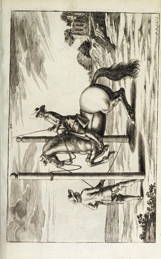 An illustration from Georgii Simonis Winteri, Bellerophon, sive, Eques peritus : hoc est, artis equestris accuratissima institutio : opere bipartito, seu duobus libris, absoluta .., 1678, leaf 147