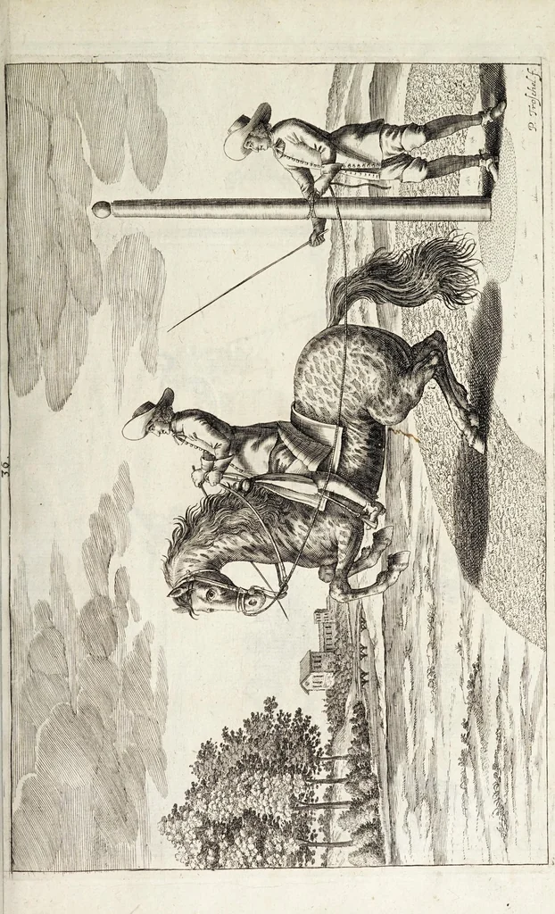 An illustration from Georgii Simonis Winteri, Bellerophon, sive, Eques peritus : hoc est, artis equestris accuratissima institutio : opere bipartito, seu duobus libris, absoluta .., 1678, leaf 159