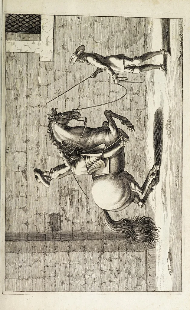 An illustration from Georgii Simonis Winteri, Bellerophon, sive, Eques peritus : hoc est, artis equestris accuratissima institutio : opere bipartito, seu duobus libris, absoluta .., 1678, leaf 169