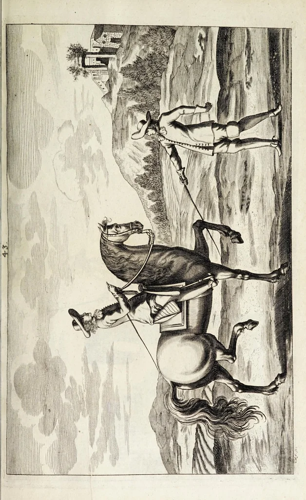 An illustration from Georgii Simonis Winteri, Bellerophon, sive, Eques peritus : hoc est, artis equestris accuratissima institutio : opere bipartito, seu duobus libris, absoluta .., 1678, leaf 173