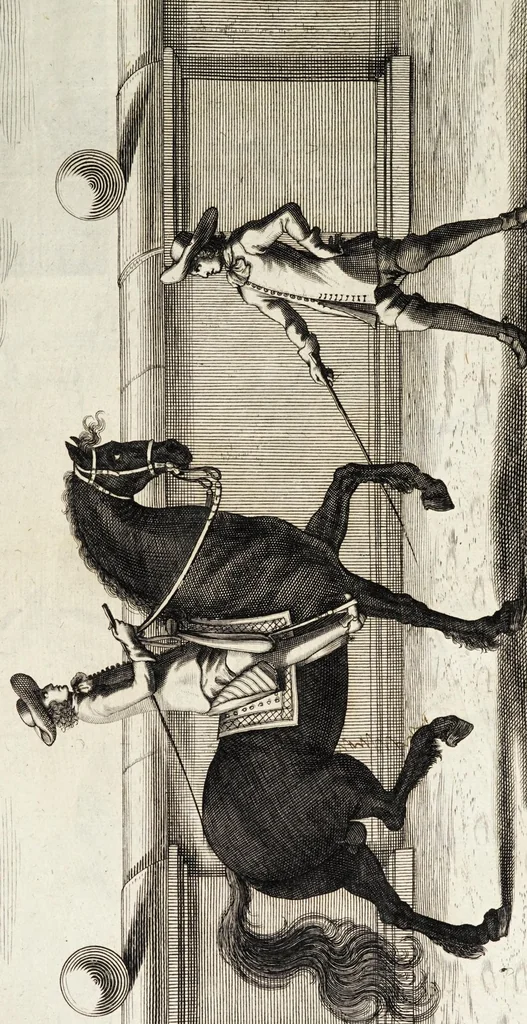 An illustration from Georgii Simonis Winteri, Bellerophon, sive, Eques peritus : hoc est, artis equestris accuratissima institutio : opere bipartito, seu duobus libris, absoluta .., 1678, leaf 177