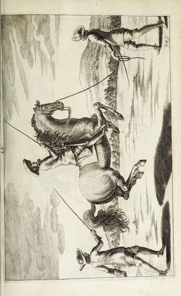 An illustration from Georgii Simonis Winteri, Bellerophon, sive, Eques peritus : hoc est, artis equestris accuratissima institutio : opere bipartito, seu duobus libris, absoluta .., 1678, leaf 185