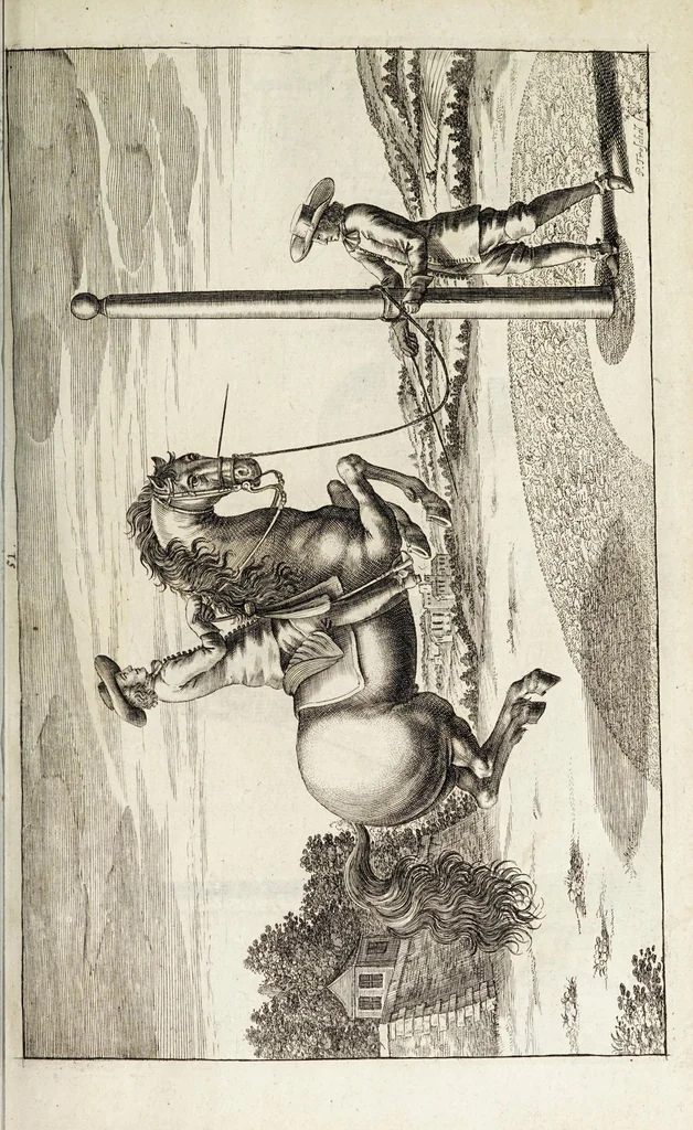 An illustration from Georgii Simonis Winteri, Bellerophon, sive, Eques peritus : hoc est, artis equestris accuratissima institutio : opere bipartito, seu duobus libris, absoluta .., 1678, leaf 189