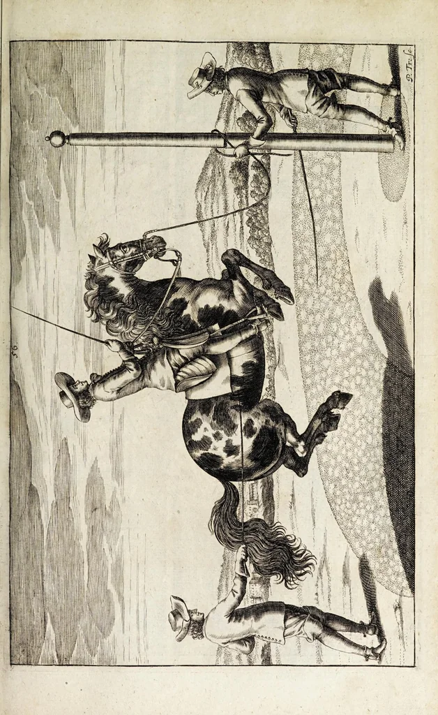 An illustration from Georgii Simonis Winteri, Bellerophon, sive, Eques peritus : hoc est, artis equestris accuratissima institutio : opere bipartito, seu duobus libris, absoluta .., 1678, leaf 199
