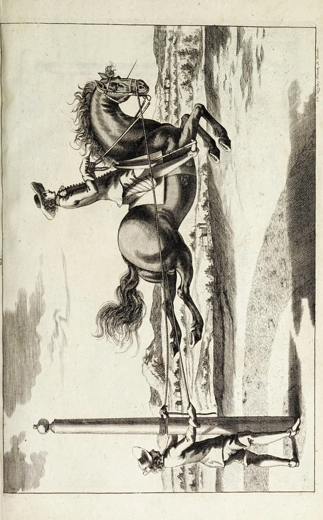 An illustration from Georgii Simonis Winteri, Bellerophon, sive, Eques peritus : hoc est, artis equestris accuratissima institutio : opere bipartito, seu duobus libris, absoluta .., 1678, leaf 217