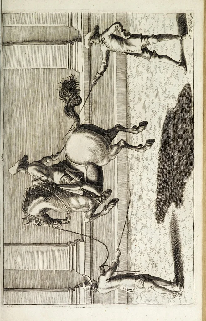 An illustration from Georgii Simonis Winteri, Bellerophon, sive, Eques peritus : hoc est, artis equestris accuratissima institutio : opere bipartito, seu duobus libris, absoluta .., 1678, leaf 231