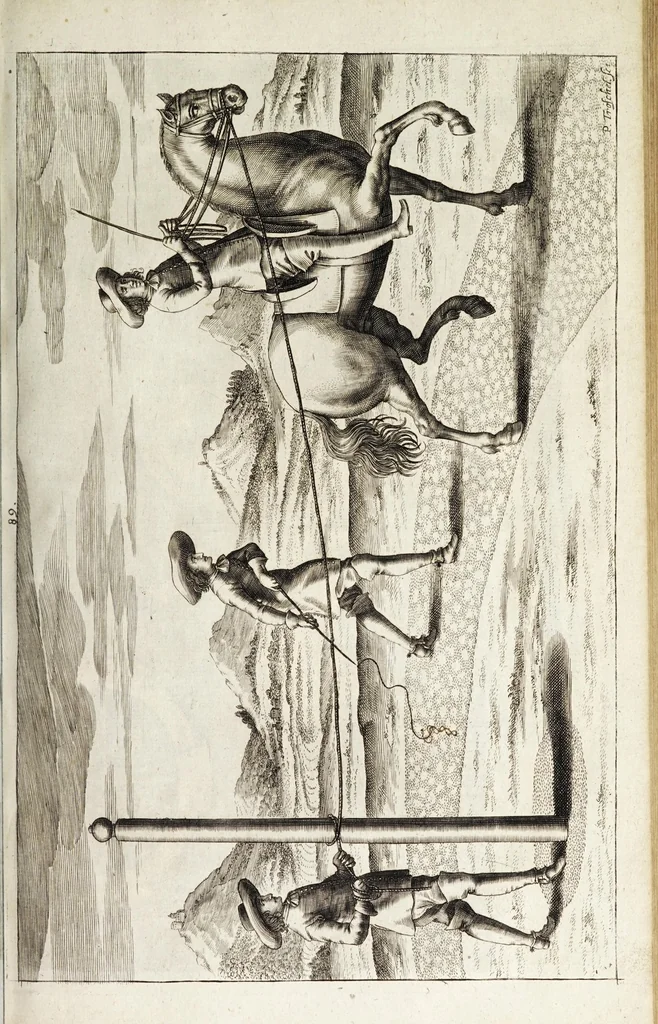 An illustration from Georgii Simonis Winteri, Bellerophon, sive, Eques peritus : hoc est, artis equestris accuratissima institutio : opere bipartito, seu duobus libris, absoluta .., 1678, leaf 265