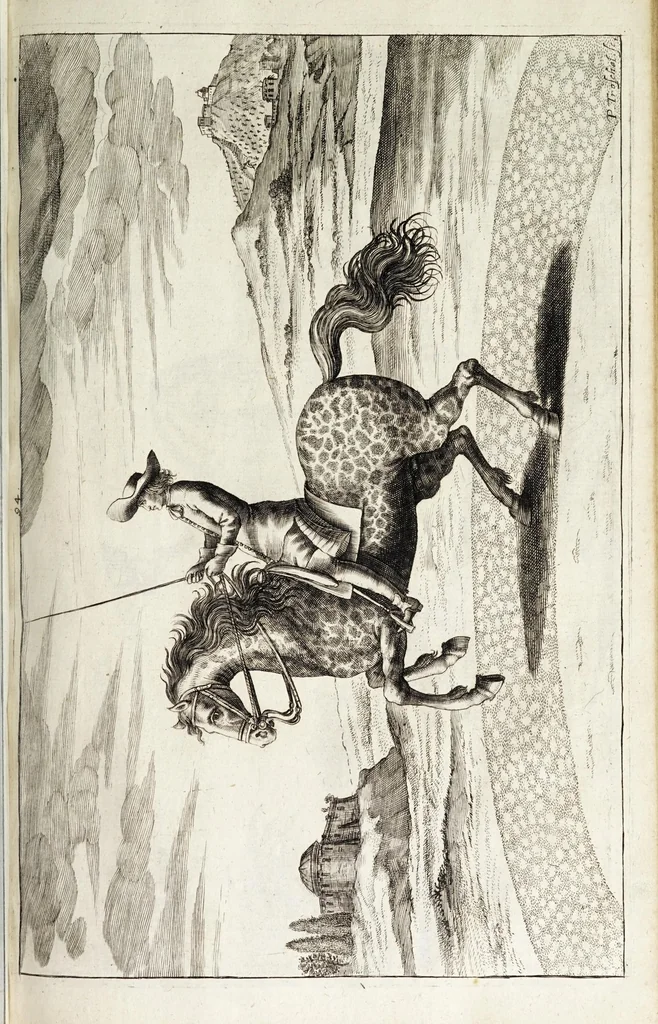 An illustration from Georgii Simonis Winteri, Bellerophon, sive, Eques peritus : hoc est, artis equestris accuratissima institutio : opere bipartito, seu duobus libris, absoluta .., 1678, leaf 275
