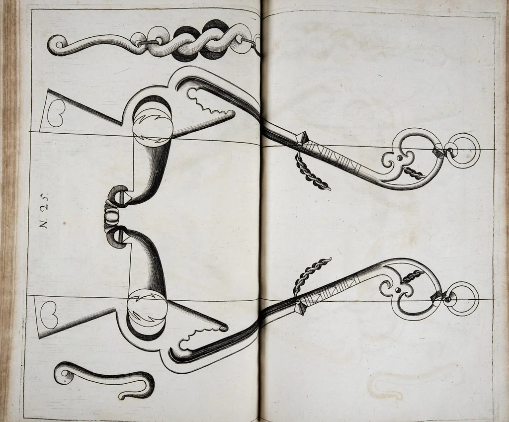 An illustration from Georgii Simonis Winteri, Bellerophon, sive, Eques peritus : hoc est, artis equestris accuratissima institutio : opere bipartito, seu duobus libris, absoluta .., 1678, leaf 466