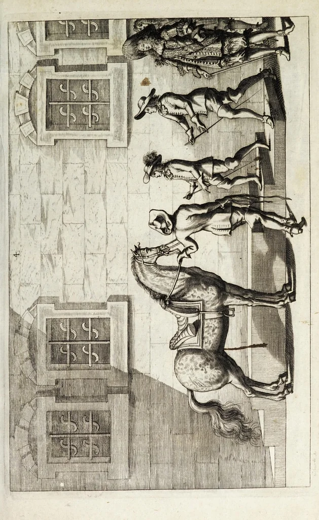 An illustration from Georgii Simonis Winteri, Bellerophon, sive, Eques peritus : hoc est, artis equestris accuratissima institutio : opere bipartito, seu duobus libris, absoluta .., 1678, leaf 95