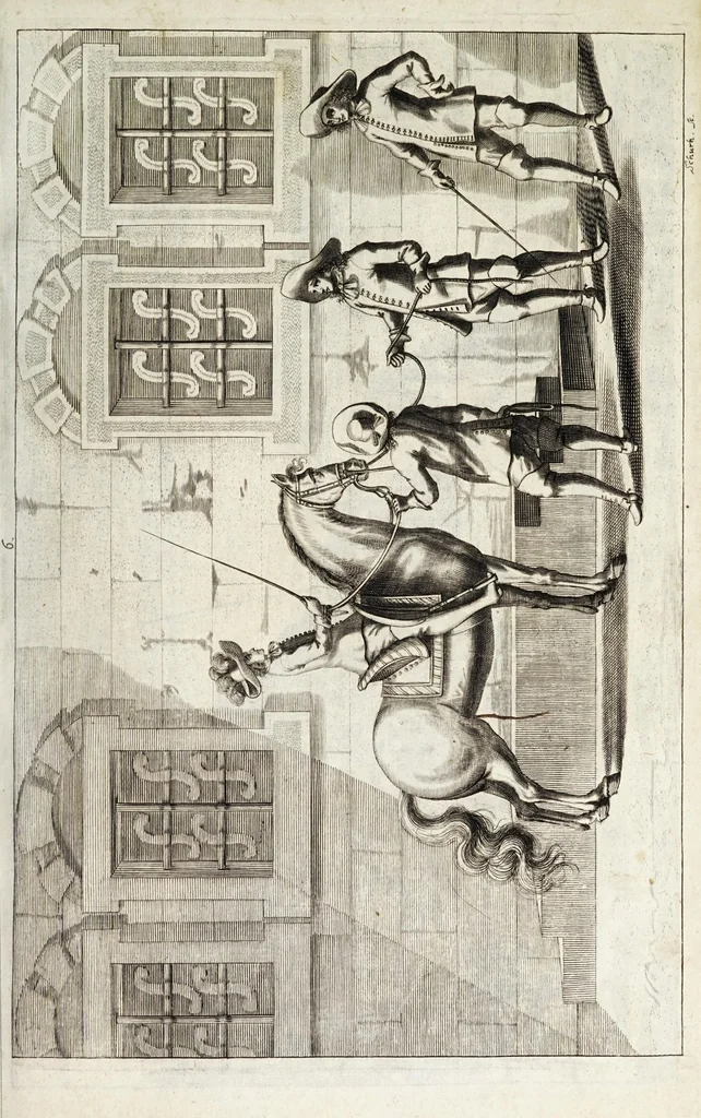 An illustration from Georgii Simonis Winteri, Bellerophon, sive, Eques peritus : hoc est, artis equestris accuratissima institutio : opere bipartito, seu duobus libris, absoluta .., 1678, leaf 99