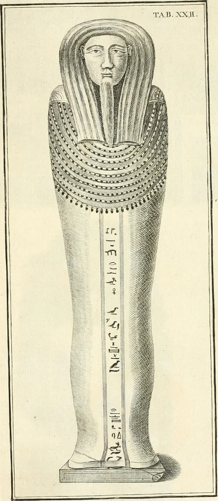 An illustration from Germana quaedam antiquitatis eruditae monumenta : quibus Romanorum veterum ritus varii tam sacri quam profani, tum Graecorum atque Aegyptiorum nonnulli illustrantur, 1745, leaf 336
