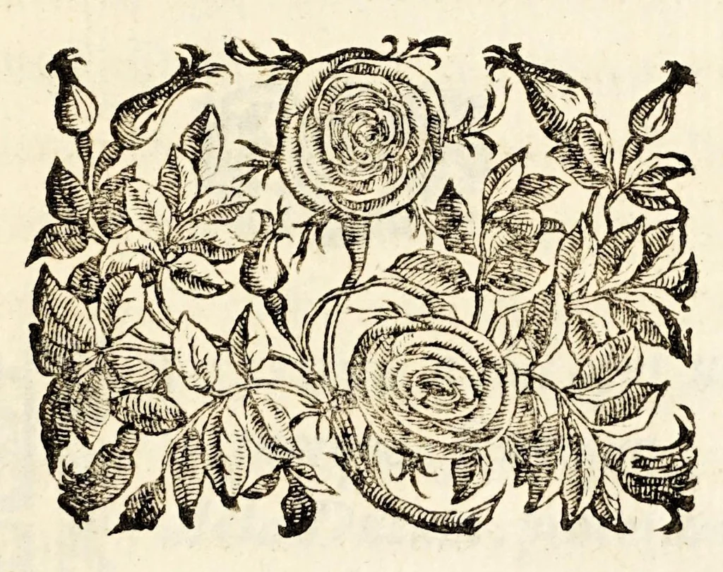 An illustration from Germani Audeberti Aurelii Venetiae, 1583, leaf 111