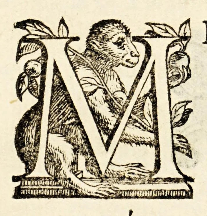 An illustration from Germani Audeberti Aurelii Venetiae, 1583, leaf 12