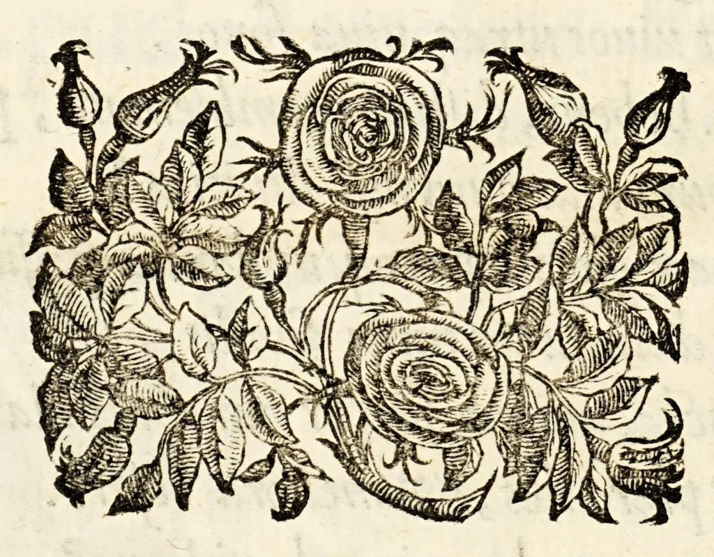 An illustration from Germani Audeberti Aurelii Venetiae, 1583, leaf 14