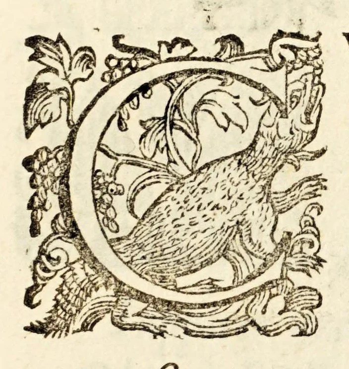 An illustration from Germani Audeberti Aurelii Venetiae, 1583, leaf 153