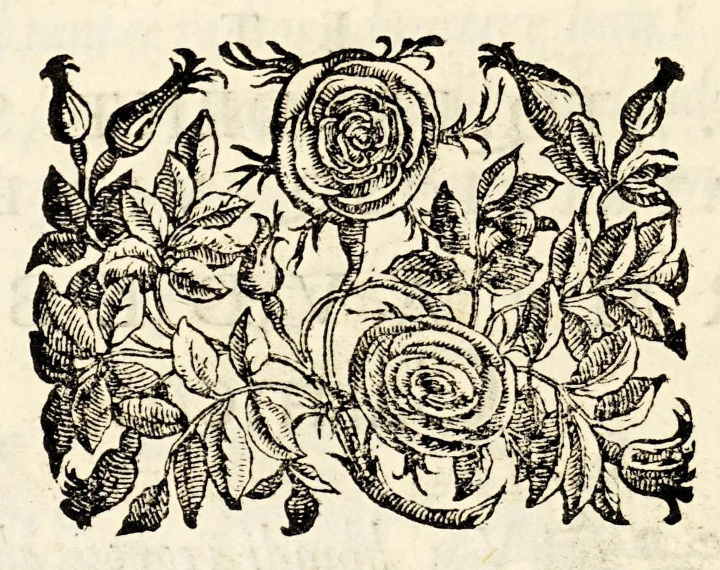 An illustration from Germani Audeberti Aurelii Venetiae, 1583, leaf 154
