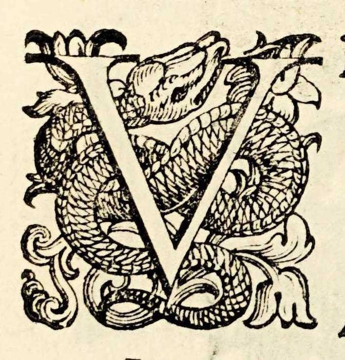 An illustration from Germani Audeberti Aurelii Venetiae, 1583, leaf 155