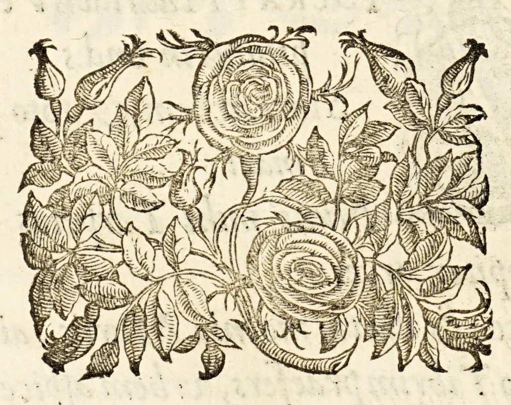 An illustration from Germani Audeberti Aurelii Venetiae, 1583, leaf 156