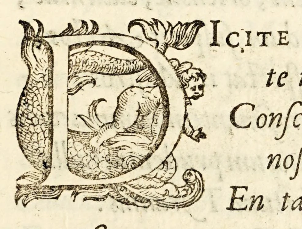 An illustration from Germani Audeberti Aurelii Venetiae, 1583, leaf 157