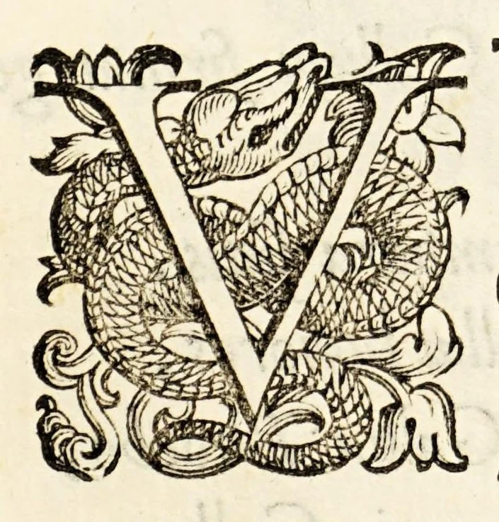 An illustration from Germani Audeberti Aurelii Venetiae, 1583, leaf 16