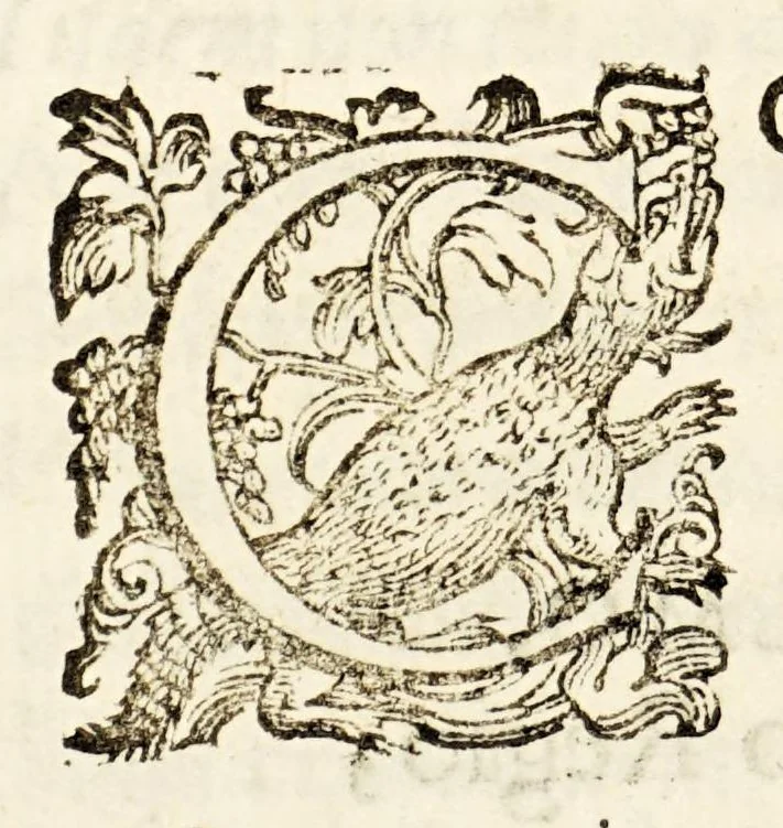 An illustration from Germani Audeberti Aurelii Venetiae, 1583, leaf 164