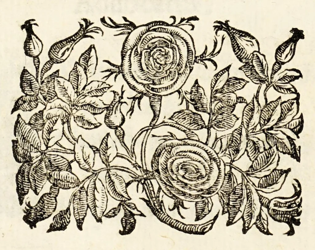 An illustration from Germani Audeberti Aurelii Venetiae, 1583, leaf 18