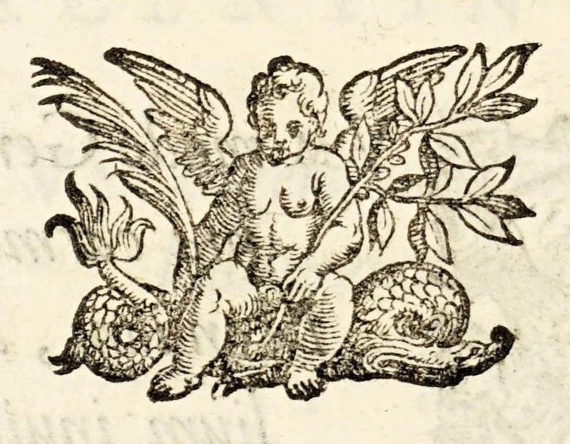 An illustration from Germani Audeberti Aurelii Venetiae, 1583, leaf 184