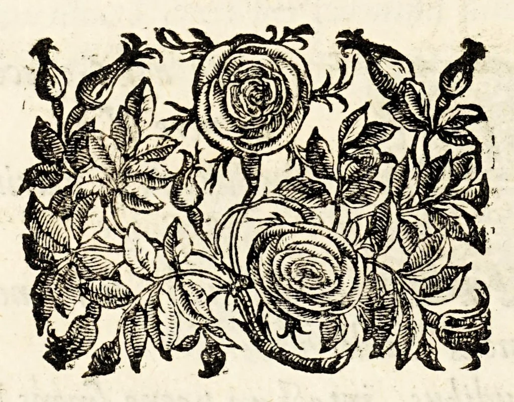 An illustration from Germani Audeberti Aurelii Venetiae, 1583, leaf 188