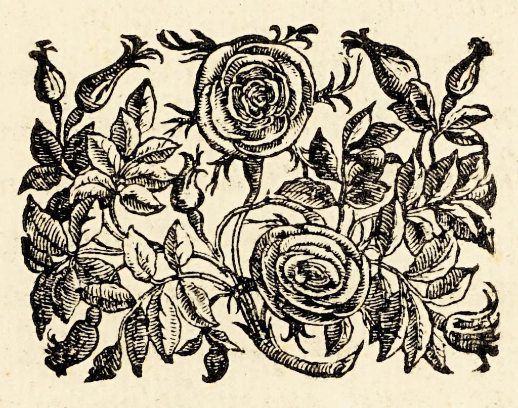 An illustration from Germani Audeberti Aurelii Venetiae, 1583, leaf 201