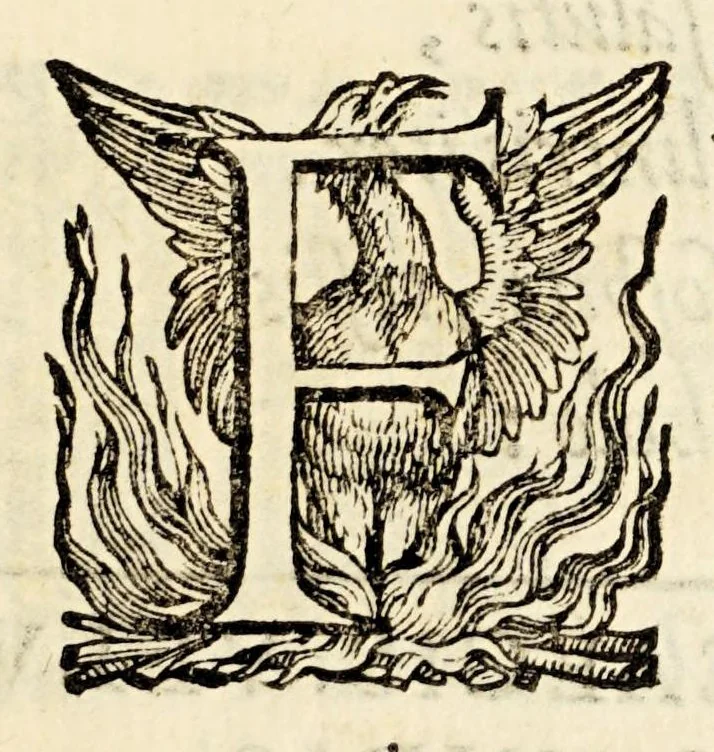 An illustration from Germani Audeberti Aurelii Venetiae, 1583, leaf 7
