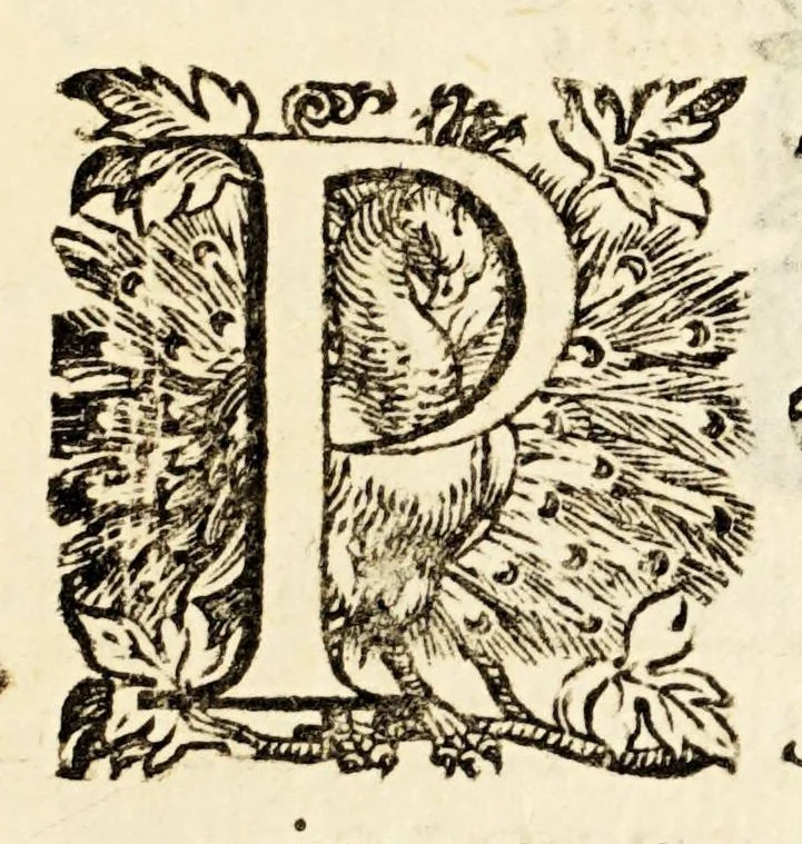 An illustration from Germani Audeberti Aurelii Venetiae, 1583, leaf 9