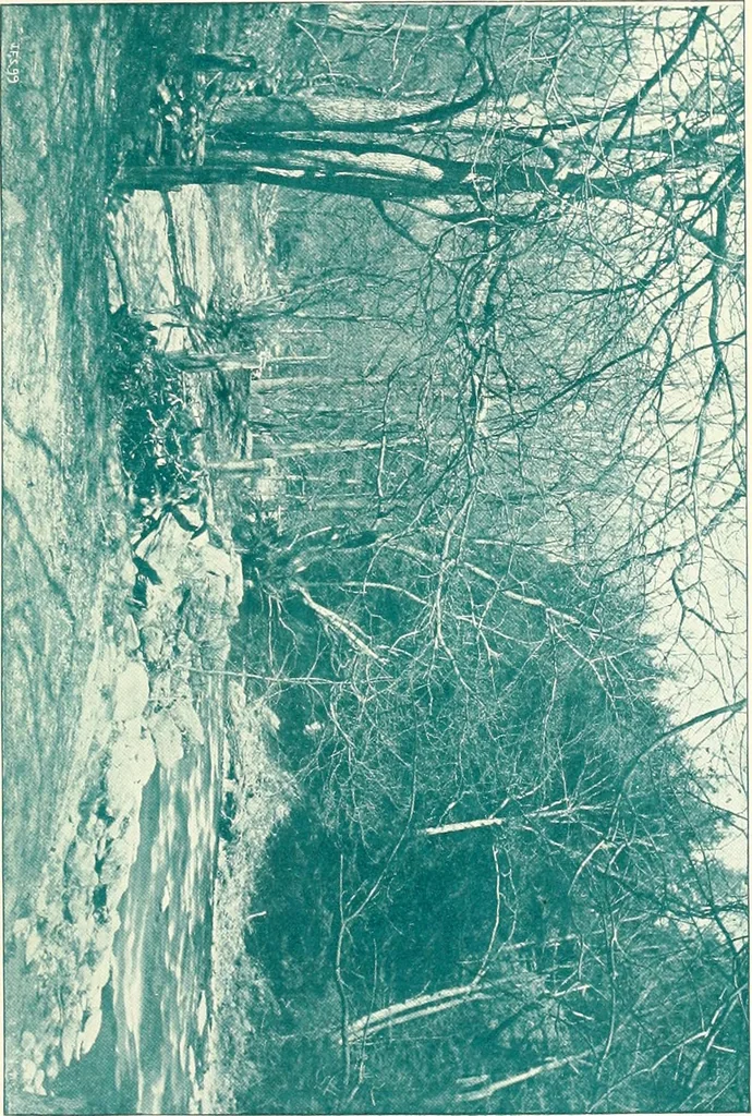 An illustration from The German sectarians of Pennsylvania : a critical and legendary history of the Ephrata Cloister and the Dunkers, 1899, leaf 153
